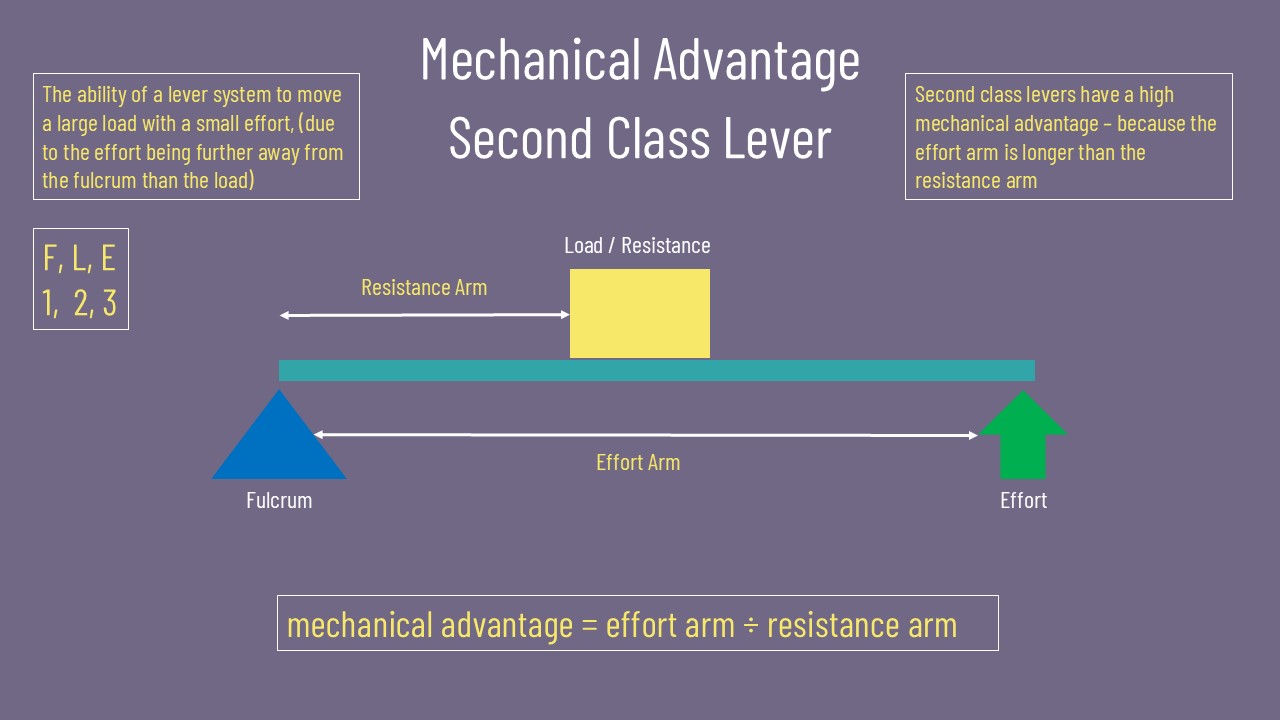 Understanding Levers and Mechanical Advantage for GCSE PE - PE TUTOR